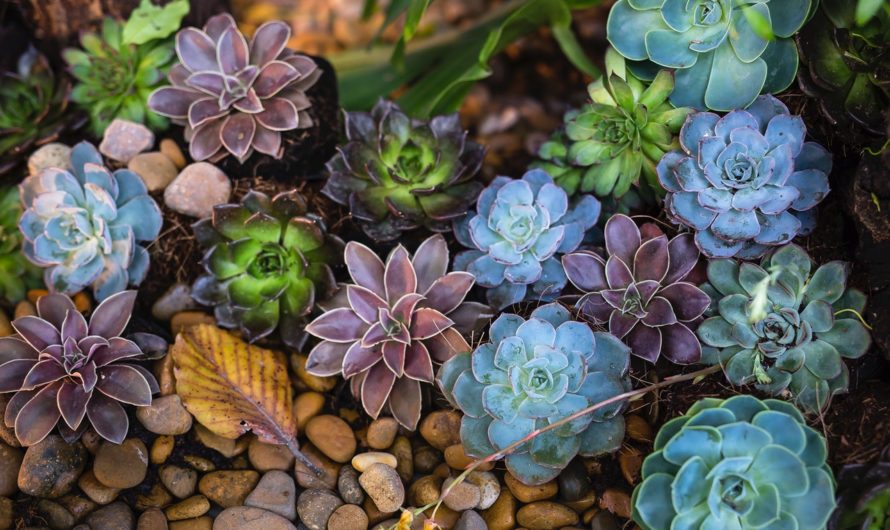 10 objets de décoration de jardin à faire soi-même